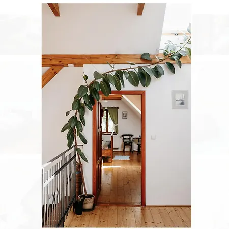 Guest house Restaurant A Na Cechach Korouhev