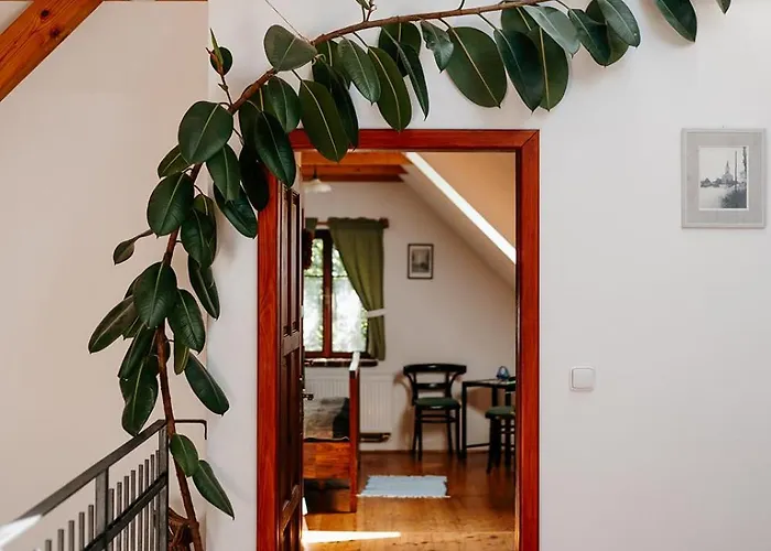 Restaurant A Na Cechach *